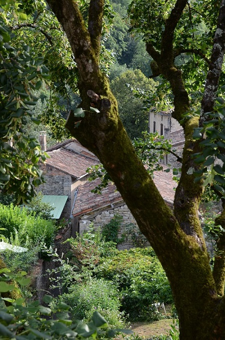 Saint-Antonin - photo by Sue Cavanna